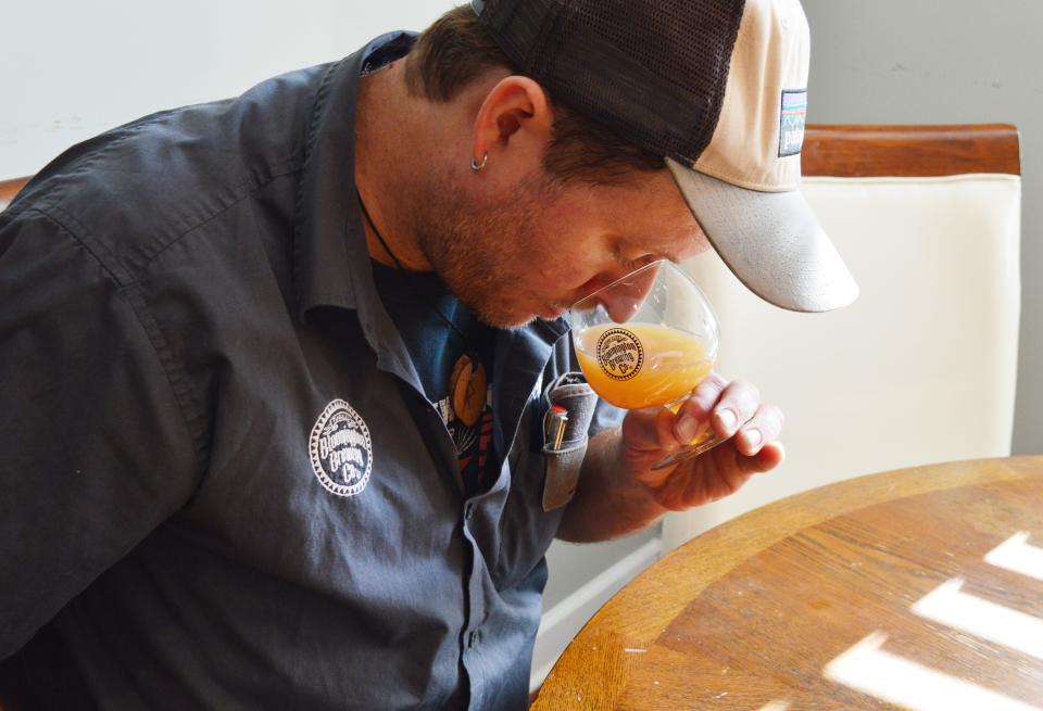 Head brewer Zech Algood sniffs the beer made with CV12 hops to determine the flavor profile of the brew created at Bloomington Brewing Company on Monday, Nov. 27, 2023.