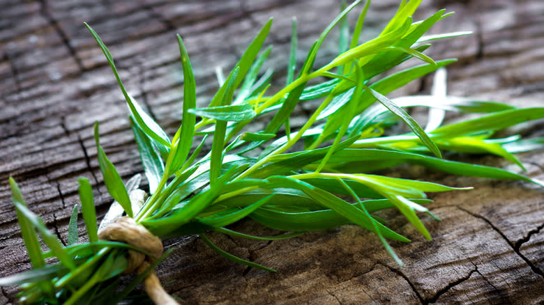 Fresh tarragon herbs