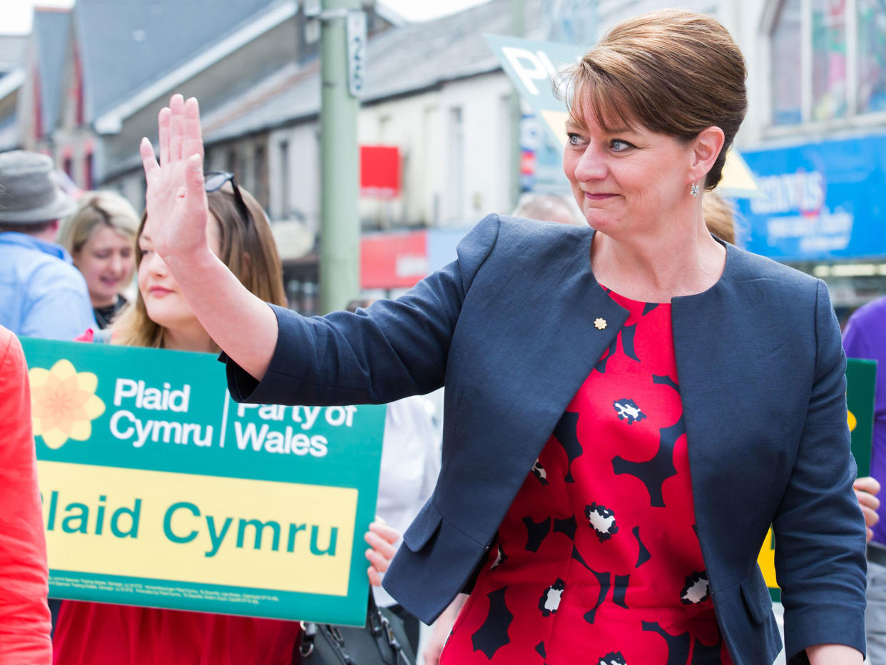 Leanne Wood is hoping to exploit Labour's weakness in Wales: Rex