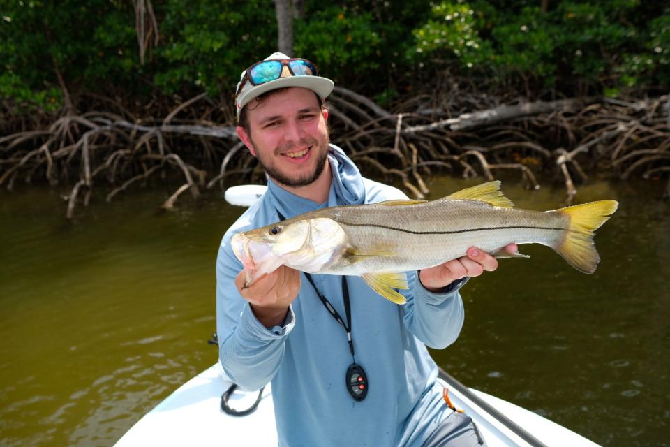 snook fishing