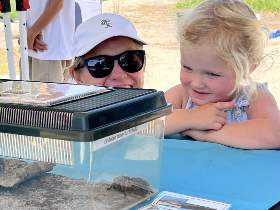 Mabel Howard, 3, and her mother Julie Howard of Jacksonville are fascinated with a tarantula that is part of a display of animals by the Jacksonville Zoo, at the Constellation Furyk & Friends Kids Zone.