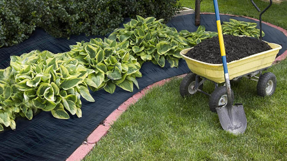 Weed mat in yard