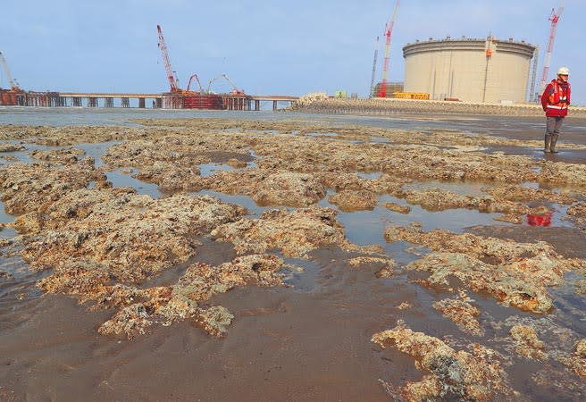 中油除了永安、台中現有12座天然氣儲槽外，還將新增6座，包括觀塘三接的2座，另永安、台中也各擴增2座；台電則有新建的台中接收站加入，增加供氣穩定度。未來全台至少有25座天然氣儲槽。圖為第三天然氣接收站。（陳怡誠攝）