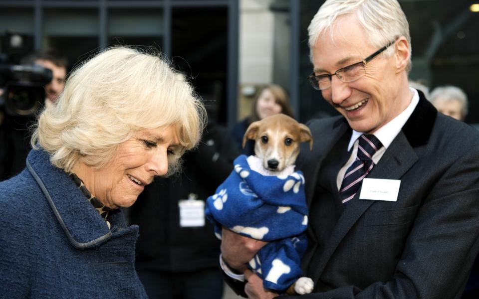 Paul O'Grady was known for his love of animals even presenting ITV's For the Love of Dogs