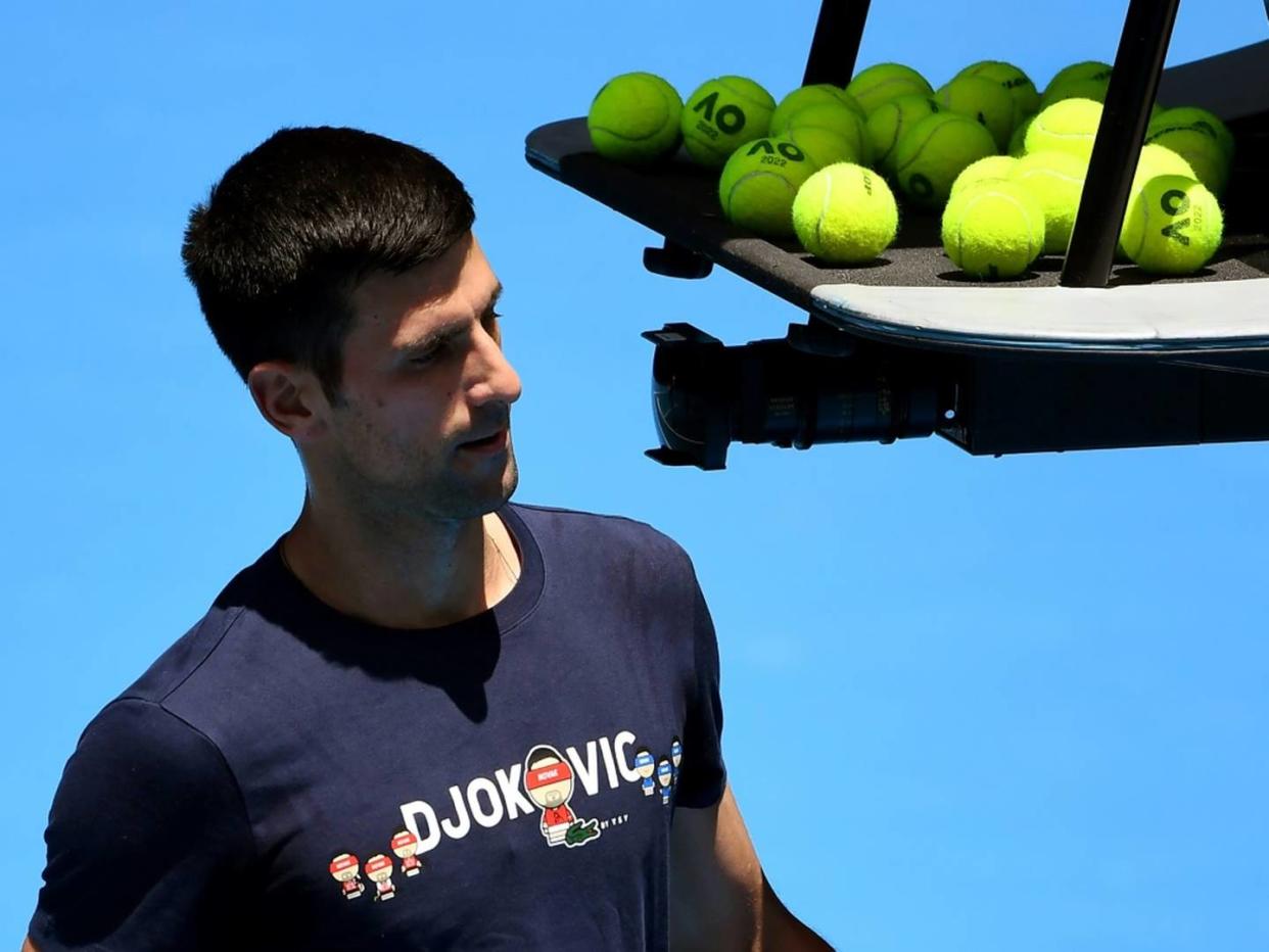 Djokovic räumt Fehler ein - Regierung prüft weiter