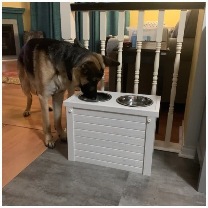 a reviewer photo of the white feeder and a German shepherd eating out of it