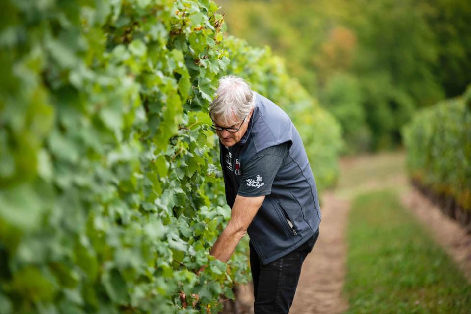 <p>Karen Black Photography / Indigo Pet Project</p> Thomas Bachelder is one of the Niagara regionâ€™s most passionate advocates and talented winemakers