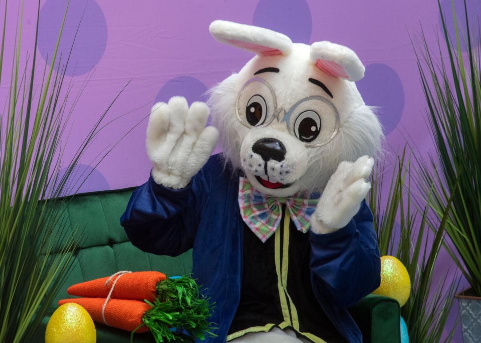 (3/26/21)

The Easter Bunny the Easter Bunny waves to passersby on Friday, March 26 while waiting to take paid pictures with people at the Weberstown Mall in Stockton. Those who want a paid photo with the bunny are asked to social distance by having their temperatures checked, hand sanitizing and posing 6 feet in front of the Easter Bunny rather than sitting next to him. The bunny will be available for pictures at the mall on Sunday, March 28 from 12 pm to 6 pm, and from 11am to 7 pm on Friday, April 2 and Saturday, March 3. Prices range from $25.99 to $35.99, spending on the package. CLIFFORD OTO/THE STOCKTON RECORD