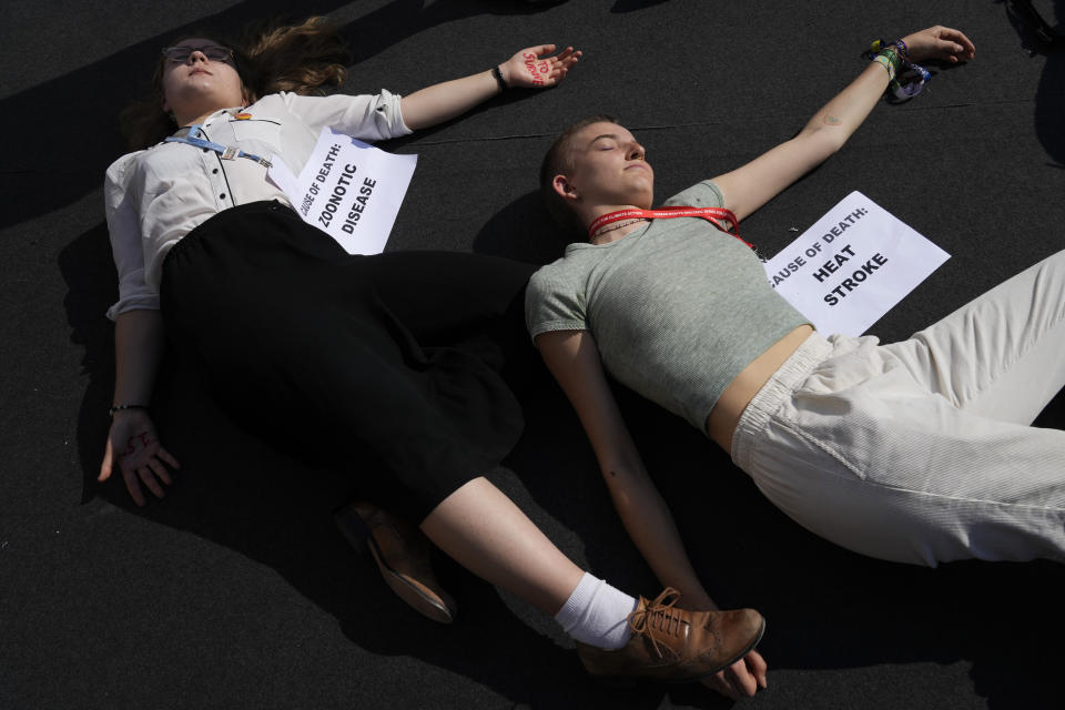 Demonstrators participate in a "die-in" advocating for the 1.5 degree warming goal to survive at the COP27 U.N. Climate Summit, Wednesday, Nov. 16, 2022, in Sharm el-Sheikh, Egypt. (AP Photo/Peter Dejong)