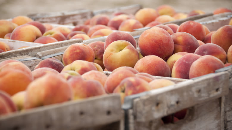 Boxes of fresh peaches