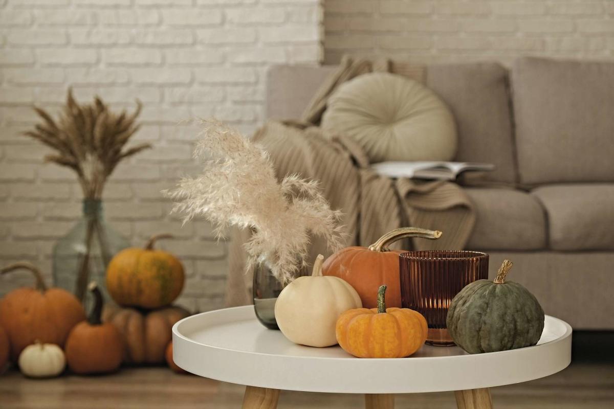 ALDI has the cutest fall decorations – and you won’t believe it’s all under 