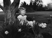 <div class="caption-credit"> Photo by: Courtesy of Lisa Sheridan/Getty Images</div><b>Princess Anne <br></b> <i>Born August 15,1950 <br> <br></i> Elizabeth and Philip's only daughter proved a natural in front of the camera with her golden ringlets and wide smile. Titled Princess Royal, Anne, she would simply have been Lady Anne Mountbatten had her grandfather, King George VI, not intervened before her birth and altered the decree that only male-line grandchildren of a sovereign could have a royal title. <br> <b><br> See More:</b> <br> <b><a rel="nofollow noopener" href="http://www.vogue.com/vogue-daily/article/first-lady-of-fashion-michelle-obamas-best-dressed-moments?mbid=synd_yshine#1" target="_blank" data-ylk="slk:Michelle Obama's Best-Dressed Moments;elm:context_link;itc:0;sec:content-canvas" class="link ">Michelle Obama's Best-Dressed Moments</a> <br></b> <b><a rel="nofollow noopener" href="http://www.vogue.com/guides/2013-lingerie-guide/?mbid=synd_yshine" target="_blank" data-ylk="slk:The Sexiest You: Lingerie Guide;elm:context_link;itc:0;sec:content-canvas" class="link ">The Sexiest You: Lingerie Guide</a></b> <br>