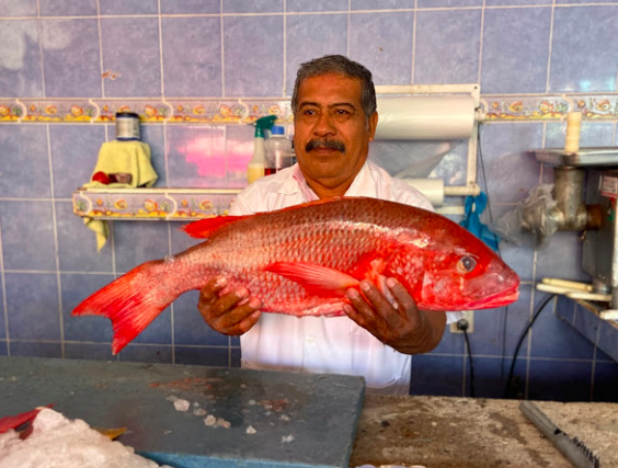 A market trader shows off the impressive haul from that morning's catch (Dave Maclean)