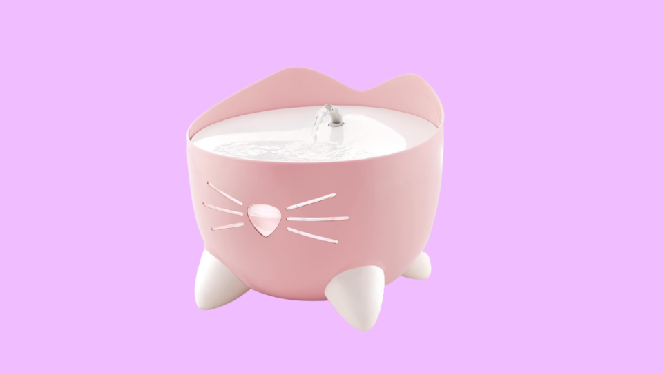 Barbiecore pet products: cat fountain