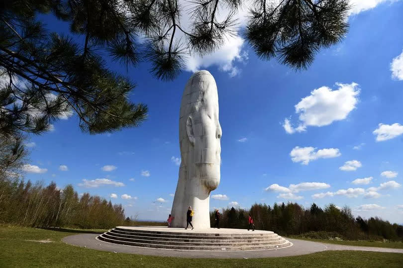 The Dream Sculpture at Sutton Manor Woodlands