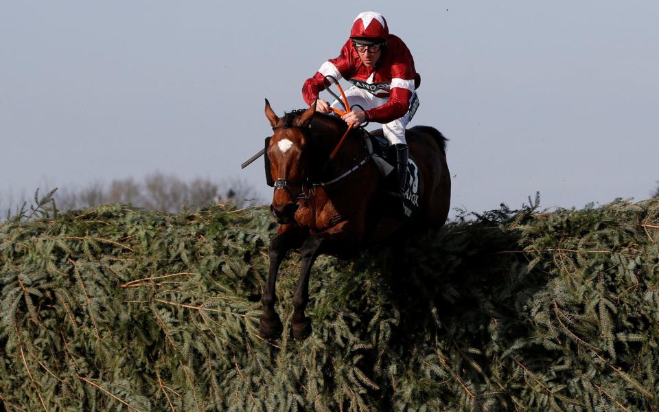 Tiger Roll wins the 2018 Grand National at Aintree with Davy Russell in the saddle - REUTERS