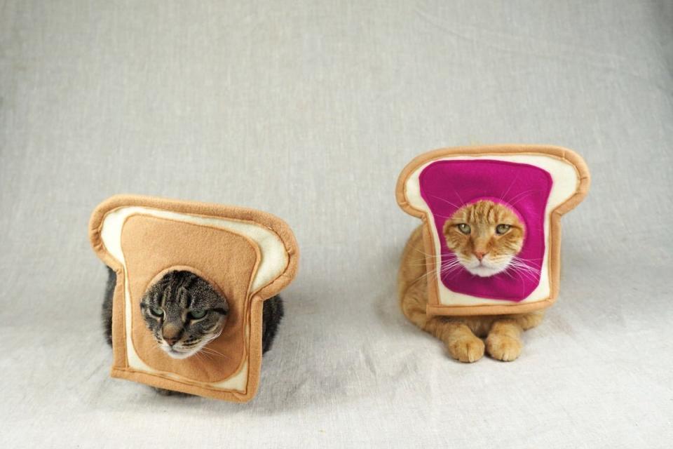 Get this <a href="https://fave.co/3j6gNhw" target="_blank" rel="noopener noreferrer">Peanut Butter and Jelly Couples Costume for Cats for $17</a> at Etsy. It's one-size-fits-all.