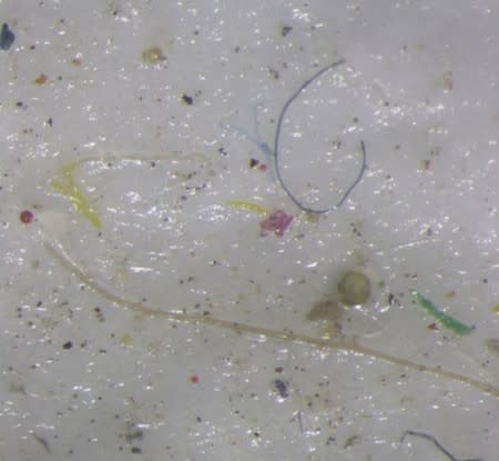 Microplastic found in ice core samples taken as part of the U.S.-led Northwest Passage Project is shown on a screen during an 18-day icebreaker expedition that took place in July and August 2019