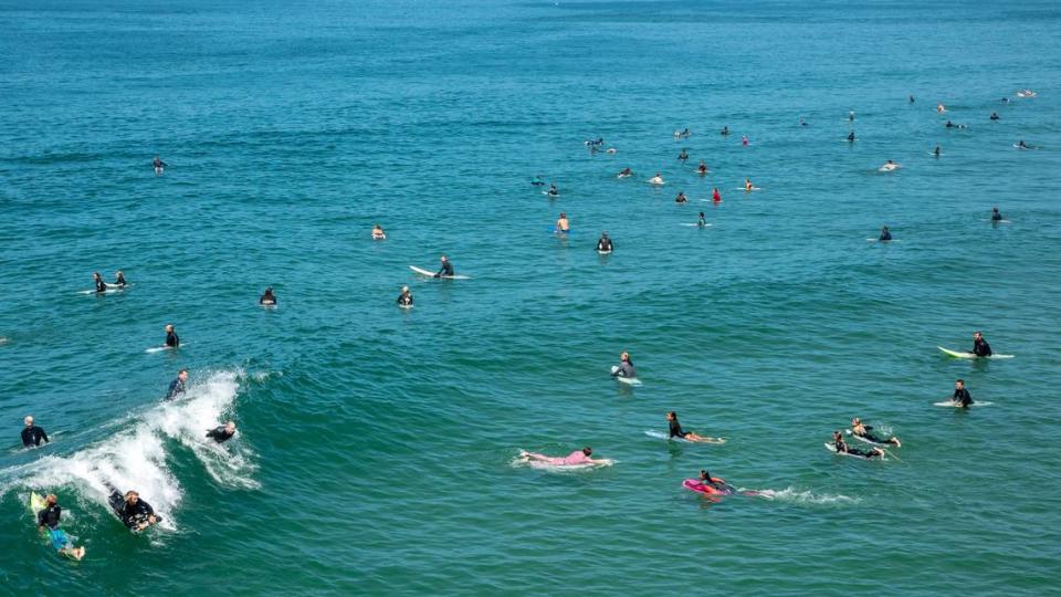 Surfers line up to catch a wave.