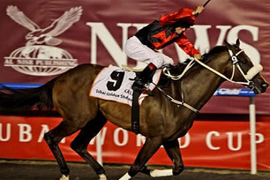 By far the richest race in the world, the 2000 metre Dubai World Cup attracts the biggest names in horseracing to battle it out for prizemoney in total of around $10 million.