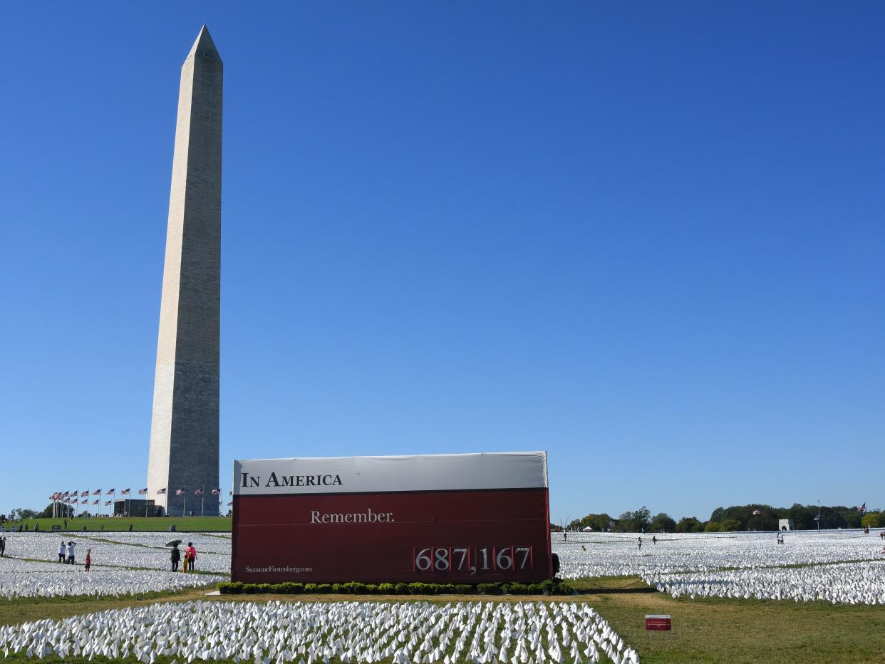 COVID-19 Memorial Field of White Flags on the Mall 06 - Washington Monument