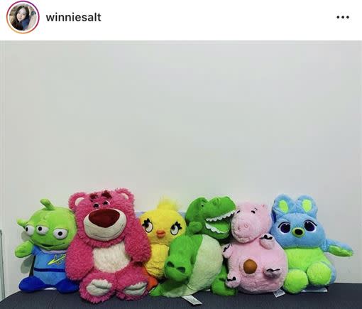 一次六隻帶回家，畫面超級可愛。（圖／IG：winniesalt 授權提供）