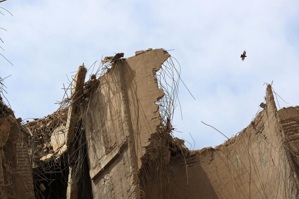 A bird flies over the devastated site of the explosion in the port of Beirut, Lebanon, Thursday Aug.6, 2020. French President Emmanuel Macron came in Beirut to offer French support to Lebanon after the deadly port blast.(AP Photo/Thibault Camus, Pool)