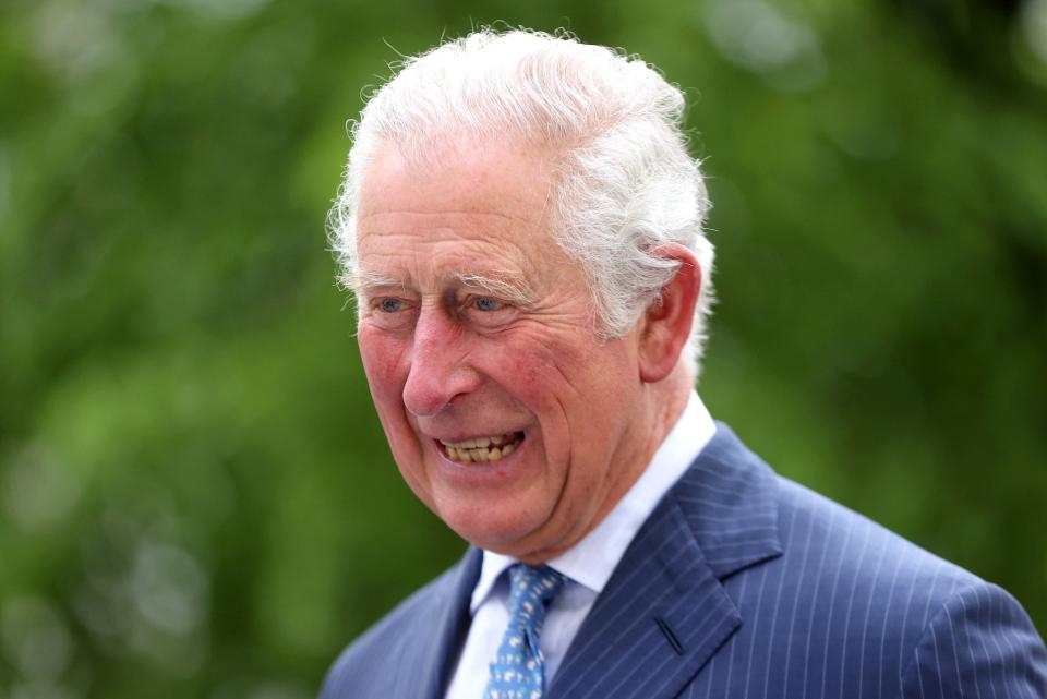 Prince Charles was briefed on planned restoration worksPOOL/AFP via Getty Images