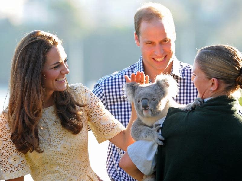 Britische Royals mit Koala. Foto: Dan Himbrechts