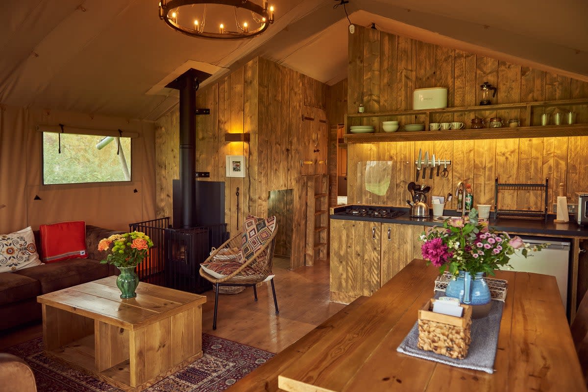 Luxury glamping lodges scatter the grounds of Double House Farm (Tall Trees Glamping)
