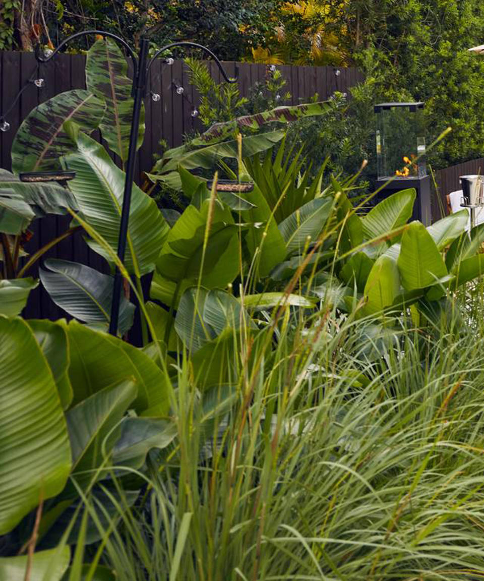 flowerbed with tropical plants