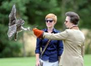 <p>Princess Anne, being a boss as per usual, at the International Center for Birds of Prey.</p>