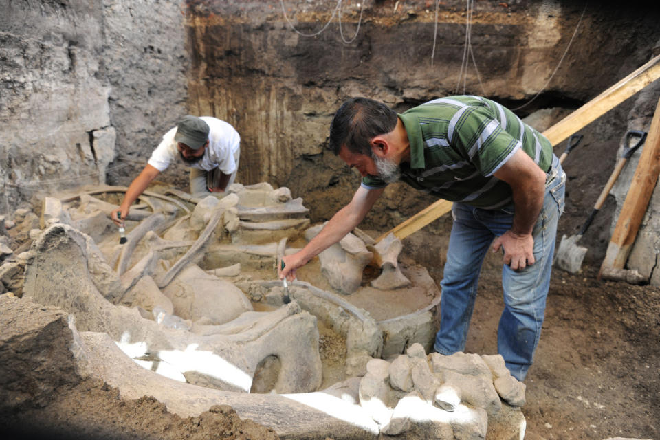 San Antonio Xahuento, y en particular la calle La Saucera donde el mamut fue hallado, corresponde a la orilla occidental del remoto lago de Xaltocan, que formó parte de una zona que contó además con el de Ecatepec y el de Zumpango.