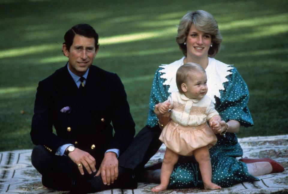 <p>The couple pose with Prince William in the gardens of the Government House in Auckland.<br></p>