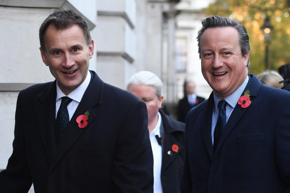Jeremy Hunt and David Cameron both campaigned for Remain in the 2016 EU referendum  (PA)