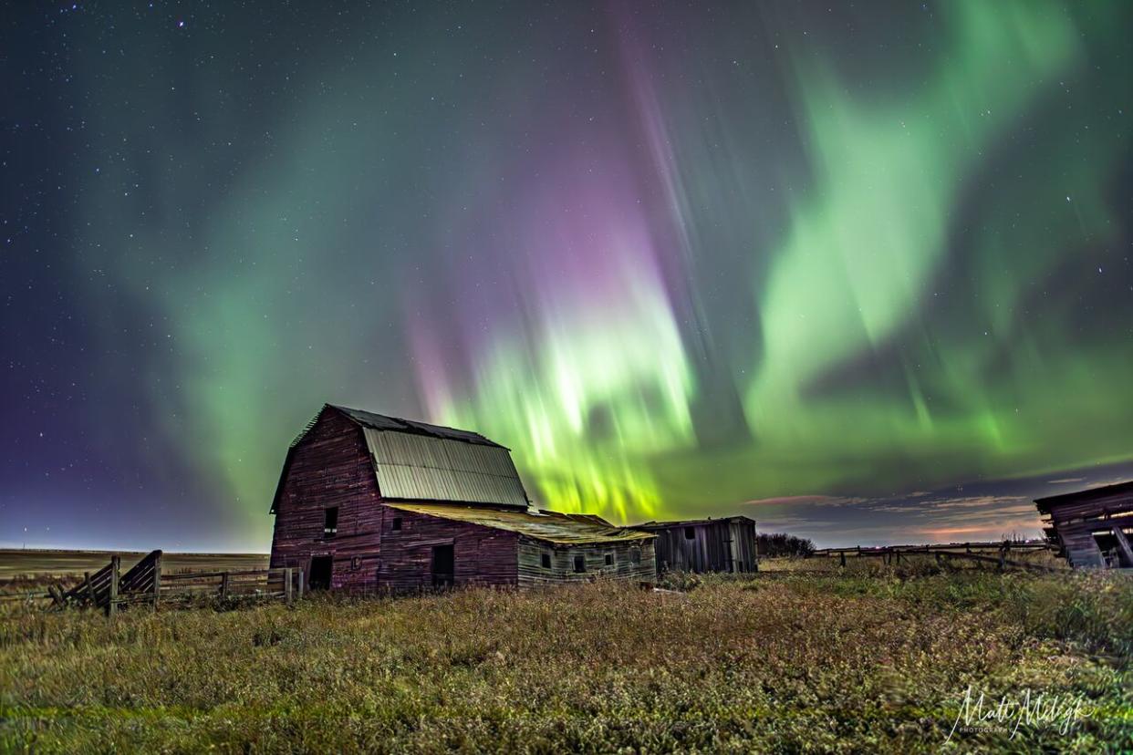 Auroras similar to those pictured here near Carstairs, Alta., on Nov. 5, 2023, are expected to light up Ottawa's sky Friday evening. (Matt Melnyk  - image credit)