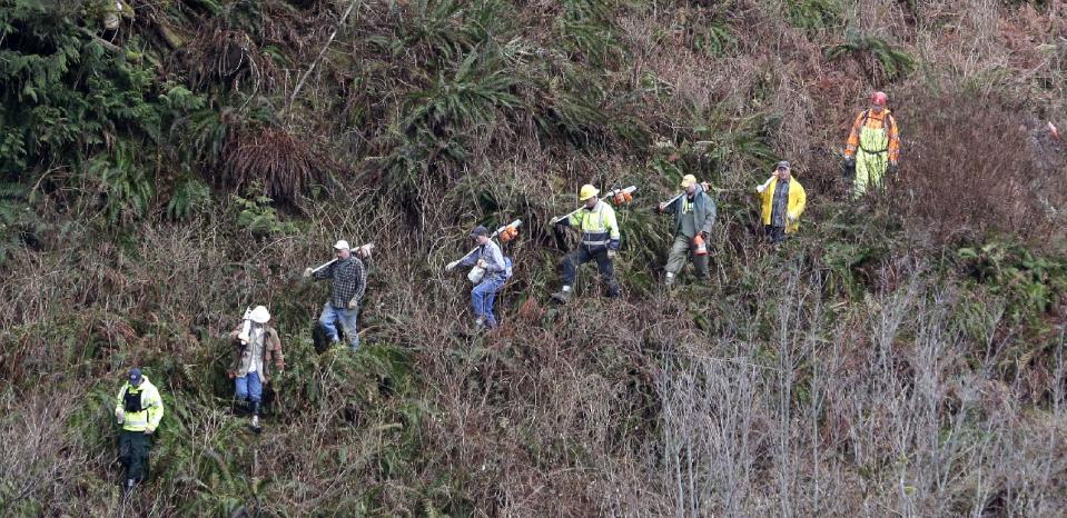 Volunteers with chainsaws march down a rugged path toward the scene of a deadly mudslide that hit Saturday, Tuesday, March 25, 2014, in Arlington, Wash. At least 14 people were killed in the 1-square-mile slide that hit in a rural area about 55 miles northeast of Seattle. Several people also were critically injured, and homes were destroyed. (AP Photo/Elaine Thompson)