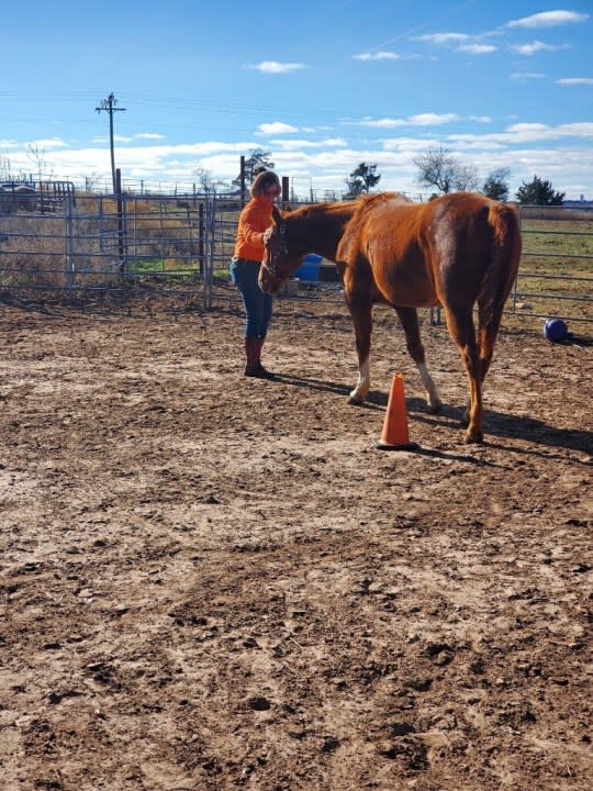 Carley Dummitt volunteers at a horse rescue ranch. Photo: Carley Dummitt.