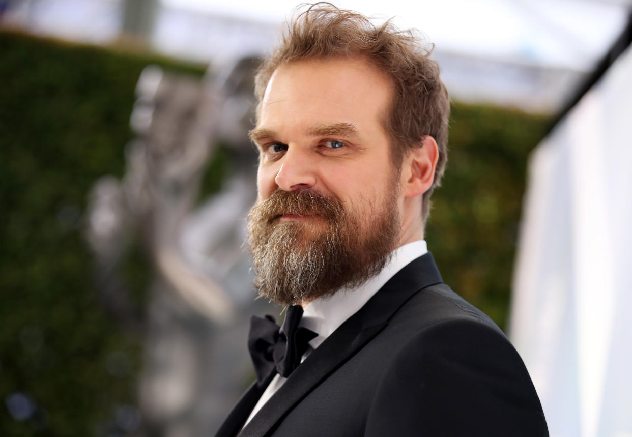 LOS ANGELES, CALIFORNIA - JANUARY 19: David Harbour attends the 26th Annual Screen Actors Guild Awards at The Shrine Auditorium on January 19, 2020 in Los Angeles, California. (Photo by Rich Fury/Getty Images)