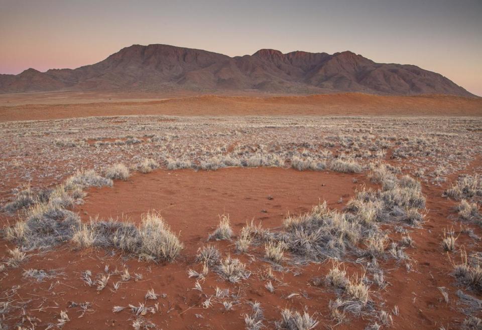 In this photo provided by Jen Guyton, one of the mysterious “fairy circles” in the Namib desert that dot the area with circular barren patches. Scientists have come up with a complex theory involving termites and plants to explain what’s happening. (Jen Guyton/www.jenguyton.com via AP)