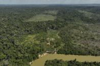 A river borders an area that has been illegally deforested by land-grabbers and cattle farmers in an extractive reserve in Jaci-Parana, Rondonia state, Brazil, Tuesday, July 11, 2023. Meat processing giant JBS SA and three other slaughterhouses are facing lawsuits seeking millions of dollars in environmental damages for allegedly purchasing cattle raised illegally in the area. (AP Photo/Andre Penner)