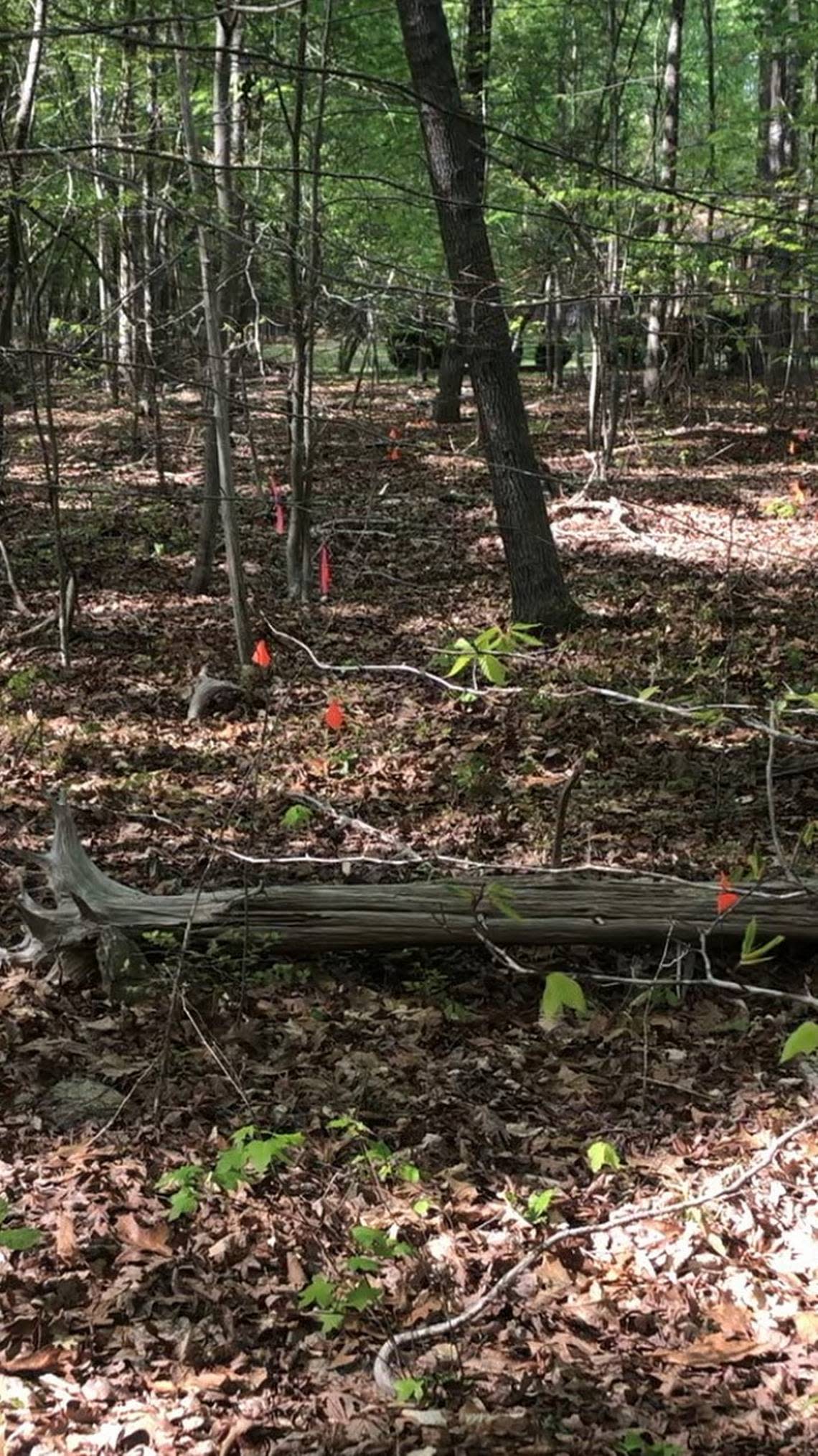 Hardscrabble Plantation is located near the northern Orange-Durham county line. In 2022, a surveyor confirmed a cemetery is on the site, believed to contain the remains of 50 to 75 slaves.