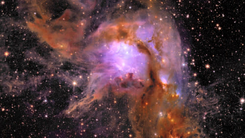 Euclid's new image of star-forming region Messier 78