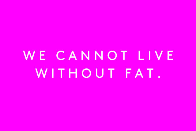 Fat_quote1