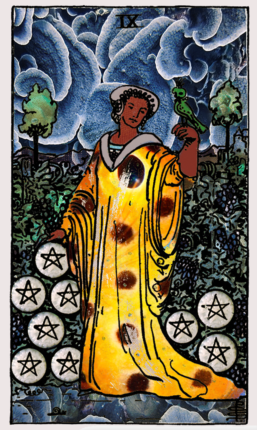 nine of pentacles tarot card