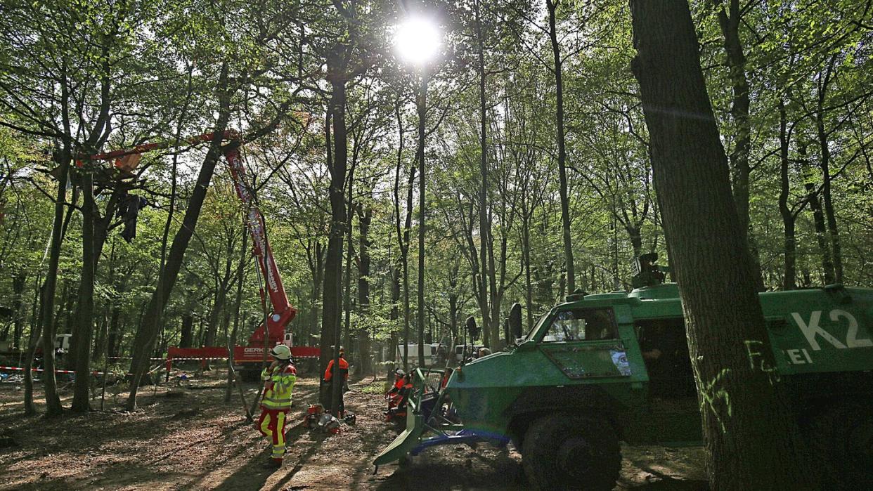 Die Räumung der Baumhäuser von Umweltaktivisten im Hambacher Forst geht weiter. Foto: Oliver Berg