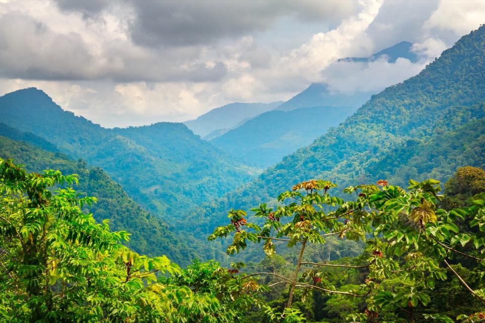 Colombia is among the top three most biodiverse countries in the world, alongside Brazil and Indonesia (Getty Images/iStockphoto)