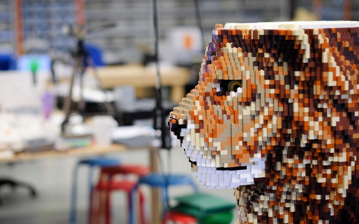 The Lego lion surveys his kingdom (minus the top of his head) - Christopher Pledger for The Telegraph