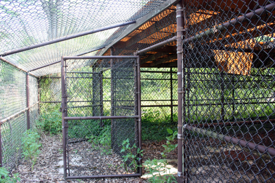 Cursed, neglected Mike Tyson mansion