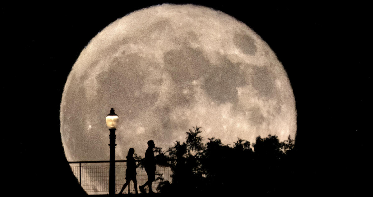 Rare blue supermoon lights up the night sky: Check out the photos